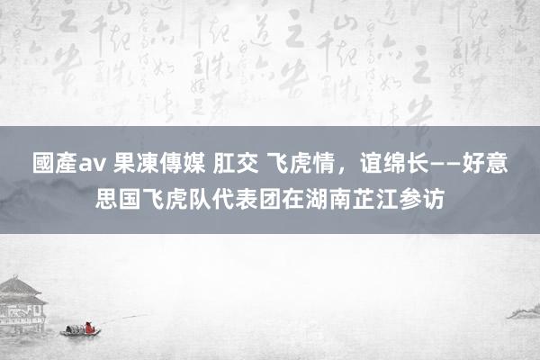 國產av 果凍傳媒 肛交 飞虎情，谊绵长——好意思国飞虎队代表团在湖南芷江参访