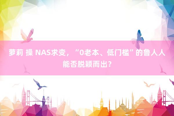 萝莉 操 NAS求变，“0老本、低门槛”的鲁人人能否脱颖而出？